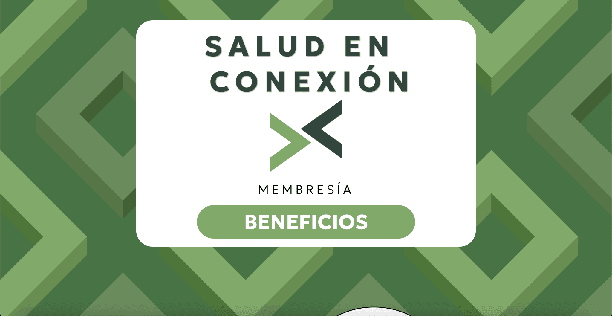 Sitio Web Salud en Conexión